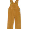 sztruksowe ogrodniczki, dla dzieci, corduroy dungarees, for kids